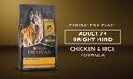 purina pro plan adult 7 plus bright mind chicken and rice dog formula
