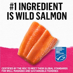 Salmon is the number one ingredient