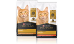 Pro Plan 7+ Line Up
