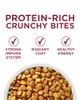 protein-rich crunchy bites
