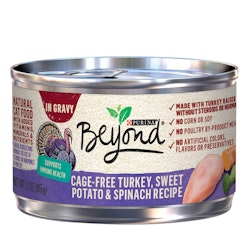 Beyond Cage-Free Turkey, Sweet Potato & Spinach Recipe in Gravy Wet Cat Food