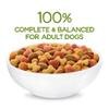 Completo y equilibrado al 100 % para perros adultos