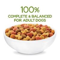 Completo y equilibrado al 100 % para perros adultos