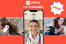 Petzey -Pet Telehealth Consultations