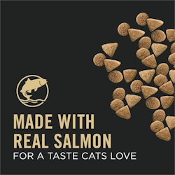 Realsalmon dry cat food
