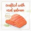 Fancy Feast Savory Salmon Feast Classic Paté