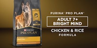 purina pro plan adult 7 plus bright mind chicken and rice dog formula 