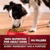 100% Nutrition for Adult Dogs, 0% Fillers, Every Ingredients Has a Purpose
