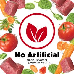 no artificial colors, flavors, preservative