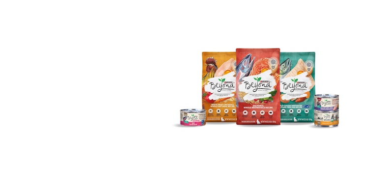 Beyond Cat Food Products Lineup