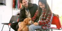 How to Adopt a Dog