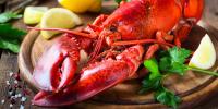 /articles/dog/feeding/can-dogs-eat/lobster