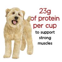 Cada taza tiene 23 gramos de proteína
