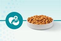When Cats Eat Purina ONE LiveClear 