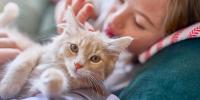 young girl petting cat on the couch