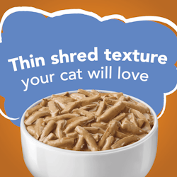 the shred texture your cat will love