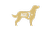 pro plan icon age 7 plus dog