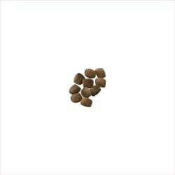 Alimento seco para perros