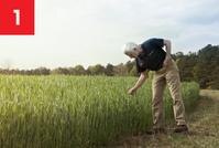 Quality Check Suppliers. Man inspecting field.