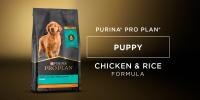 Pro Plan Puppy Chicken & Rice Formula 