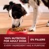 100 % de nutrición para perros adultos