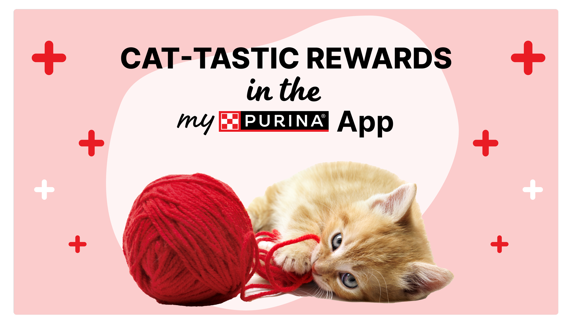 purina-one-senior-cat-food-for-older-cats-purina-us