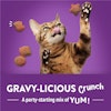 Gravy-licious Crunch. A party-starting mix of yum!