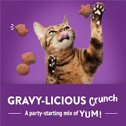 Gravy-licious Crunch. A party-starting mix of yum!