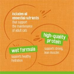includes all essential nutrients that support the maintenance of adult cats