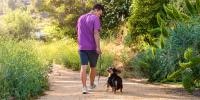 man in purple shirt and dog on walk