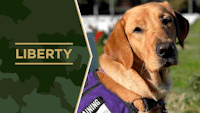Service Dog Salute Liberty