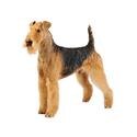 Airedale Terrier