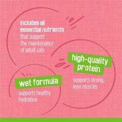 includes all essential nutrients that support the maintenance of adult cats