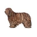 Bergamasco