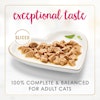Exceptional taste. Sliced. 100% complete & balanced for adult cats.