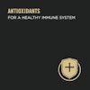 Antioxidants for a healthy immune system