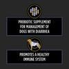 Probiotic supplement 