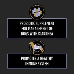 Probiotic supplement 