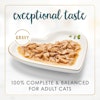 Exceptional taste. Gravy. 100% complete & balanced for adult cats.
