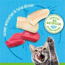No artificial colors or preservatives