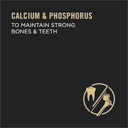 calcium and phosphorus to maintain strong bones & teeth