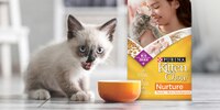 Kitten Eating Kitten Chow