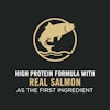 High protein formula with real salmon as the first ingredient
