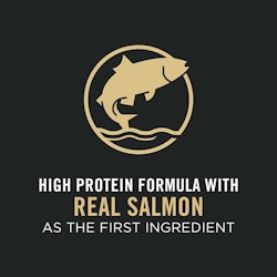 High protein formula with real salmon as the first ingredient
