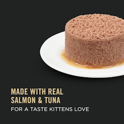 Made with real salmon & tuna for a taste cats love