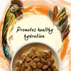 Promotes healthy hydration