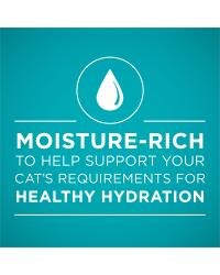 moisture-rich