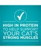 high in protein