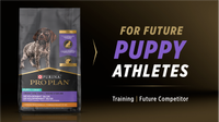 Purina Pro Plan For Future Puppy Athletes