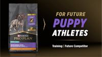 Purina Pro Plan For Future Puppy Athletes